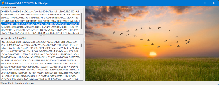 Screenshot von Blickpunkt